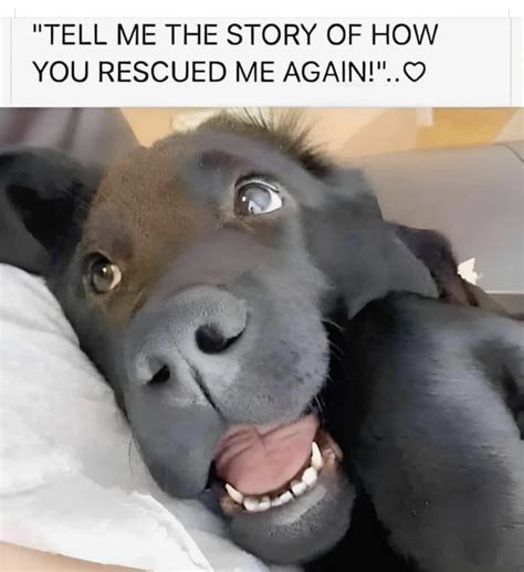 ANNOUNCEMENT ️ ️ ️ Please be .